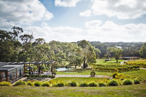 Mornington Peninsula 2-6 Guests Lunch Rare Hare Or Merricks General Wine Store - New South Wales Tourism  3