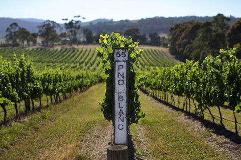 Mornington Peninsula 2-6 Guests Lunch Rare Hare Or Merricks General Wine Store - New South Wales Tourism  5