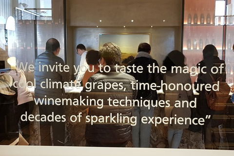 Yarra Valley Wine Tasting Day Tour From Melbourne - New South Wales Tourism  1