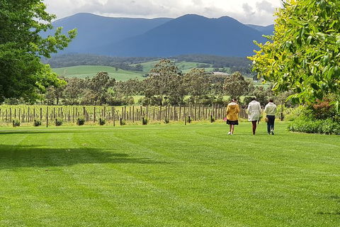 Yarra Valley Wine Tasting Day Tour From Melbourne - New South Wales Tourism  6