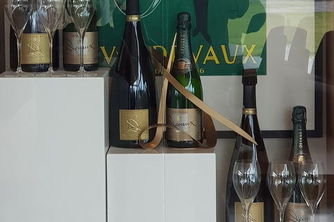 Yarra Valley Wine Tasting Day Tour From Melbourne - New South Wales Tourism  2