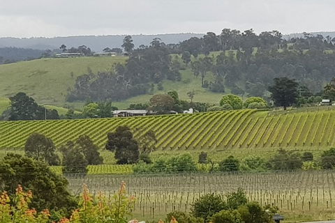 Yarra Valley Wine Tasting Day Tour From Melbourne - New South Wales Tourism  0