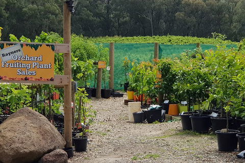 Yarra Valley Wineries And Rayners Orchard Tour From Melbourne - New South Wales Tourism  0
