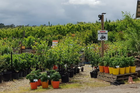 Yarra Valley Wineries And Rayners Orchard Tour From Melbourne - New South Wales Tourism  22