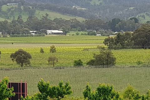 Yarra Valley Wineries And Rayners Orchard Tour From Melbourne - New South Wales Tourism  2