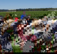 Margaret River Tour The Full Bottle - New South Wales Tourism 