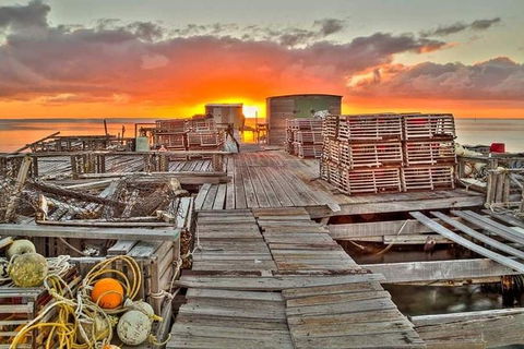 Abrolhos Islands 3 Day Fishing Charter - New South Wales Tourism  5