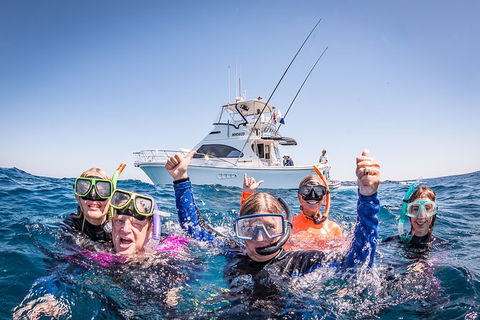 Life On Ningaloo Swimming Tour In Exmouth - New South Wales Tourism  4