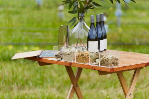 Organic Vineyard/Farm Tour - New South Wales Tourism  3