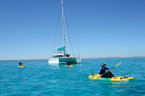5 Night Ningaloo Reef Ningaloo Escape From Coral Bay - New South Wales Tourism  0