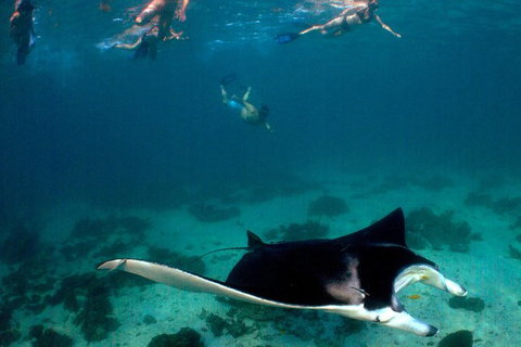 5 Night Ningaloo Reef Ningaloo Escape From Coral Bay - New South Wales Tourism  1