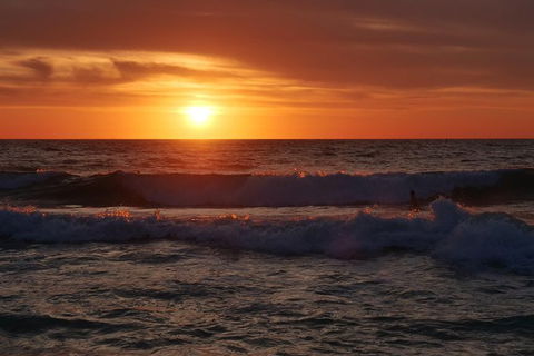 Australian Animals, Seascape And Sunset Photography Tour - New South Wales Tourism  0