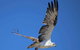Romance Aircraft Flight + Scenic Tour + 3 Course Lunch + Beer Tasting + Hamper - thumb 4
