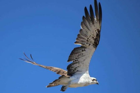Romance Aircraft Flight + Scenic Tour + 3 Course Lunch + Beer Tasting + Hamper - New South Wales Tourism  4