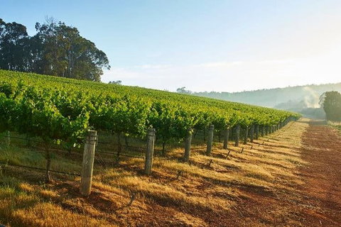 Botanical Gardens, Winery And Scenic Full Day Tour - New South Wales Tourism  2