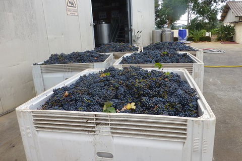 A Taste Of Margaret River Luxury Wine Tour - New South Wales Tourism  3