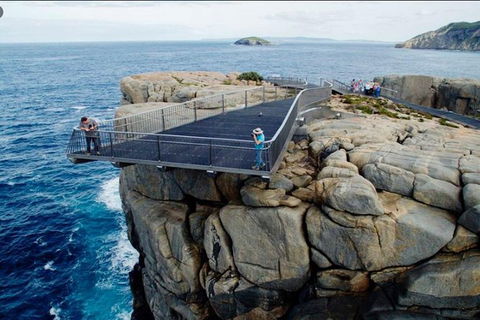 The Gap & Natural Wonders Guided Tour - New South Wales Tourism  5