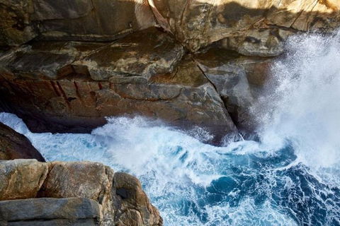 The Gap & Natural Wonders Guided Tour - New South Wales Tourism  4