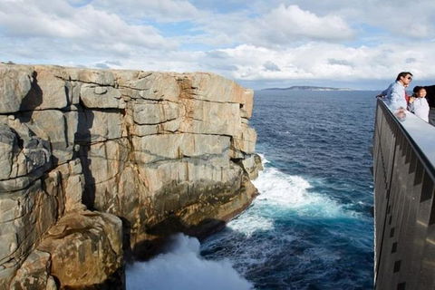 The Gap & Natural Wonders Guided Tour - New South Wales Tourism  1