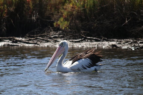 Private Guided River Kayak Tour - New South Wales Tourism  2
