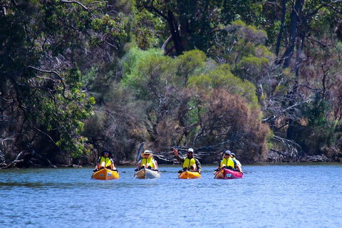 Private Guided River Kayak Tour - New South Wales Tourism  6
