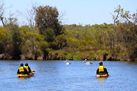 Private Guided River Kayak Tour - New South Wales Tourism  4
