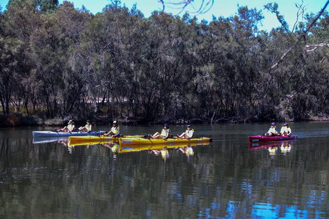 Private Guided River Kayak Tour - New South Wales Tourism  5