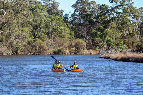 Private Guided River Kayak Tour - New South Wales Tourism  7