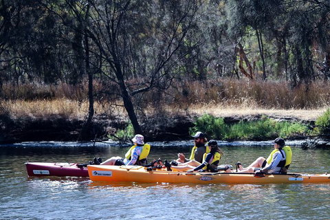 Private Guided River Kayak Tour - New South Wales Tourism  3