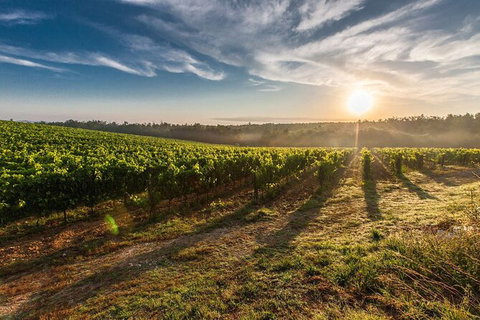 Perth To Margaret River Wine Tour - 2 Day Premium Boutique Wine Tour Experience - New South Wales Tourism  0