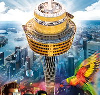 Sydney Tower Eye - New South Wales Tourism 