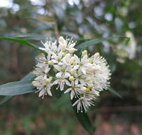 Booderee National Park - New South Wales Tourism 