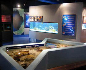 Marine And Freshwater Discovery Centre - New South Wales Tourism  0
