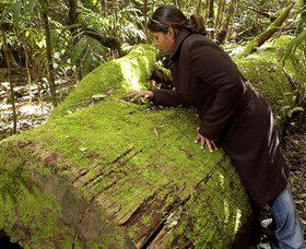  New South Wales Tourism 