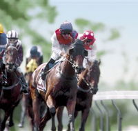 Colac Turf Club - New South Wales Tourism 