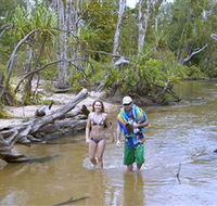Tjuwaliyn / Douglas Hot Springs Park - New South Wales Tourism 