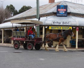 Bathurst Farm Experience - New South Wales Tourism  0