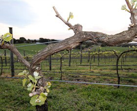 Drysdale VIC New South Wales Tourism 