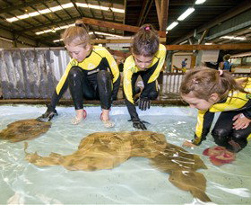 Dandenong South VIC New South Wales Tourism 