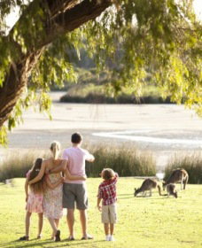 Yanchep WA New South Wales Tourism 