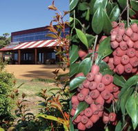 Bushfood Factory and Cafe - New South Wales Tourism 