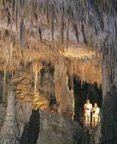 Mammoth Cave - New South Wales Tourism  0