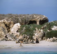 Jurien Bay Marine Park - New South Wales Tourism 
