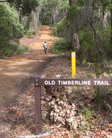 Old Timberline And Sidings Rail Trails - New South Wales Tourism  0
