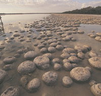 Lake Clifton Thrombolites - New South Wales Tourism 