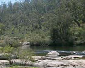 Wellington Discovery Forest - New South Wales Tourism  0