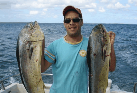Jervis Bay Fishing and Charters - New South Wales Tourism 