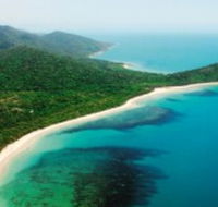 Jungle Tours and Trekking - New South Wales Tourism 