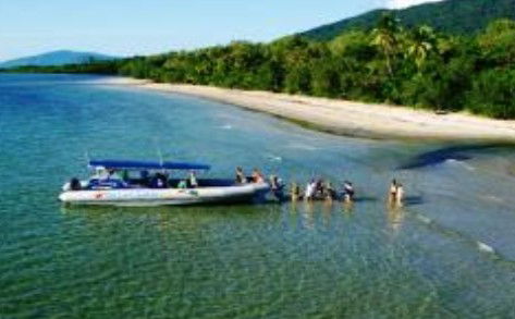 Cape Tribulation QLD New South Wales Tourism 