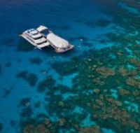 Great Adventures Reef and Green Island Cruises - New South Wales Tourism 